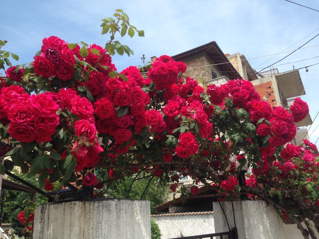Apartment Morskoi Gnom Burgas ภายนอก รูปภาพ
